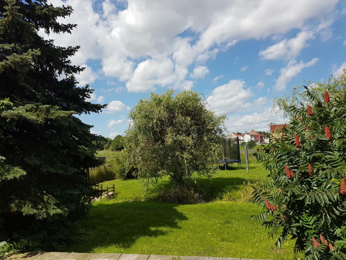 Fewo Am Moorteich Thale Zewnętrze zdjęcie