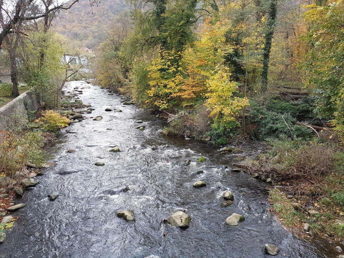Fewo Am Moorteich Thale Zewnętrze zdjęcie
