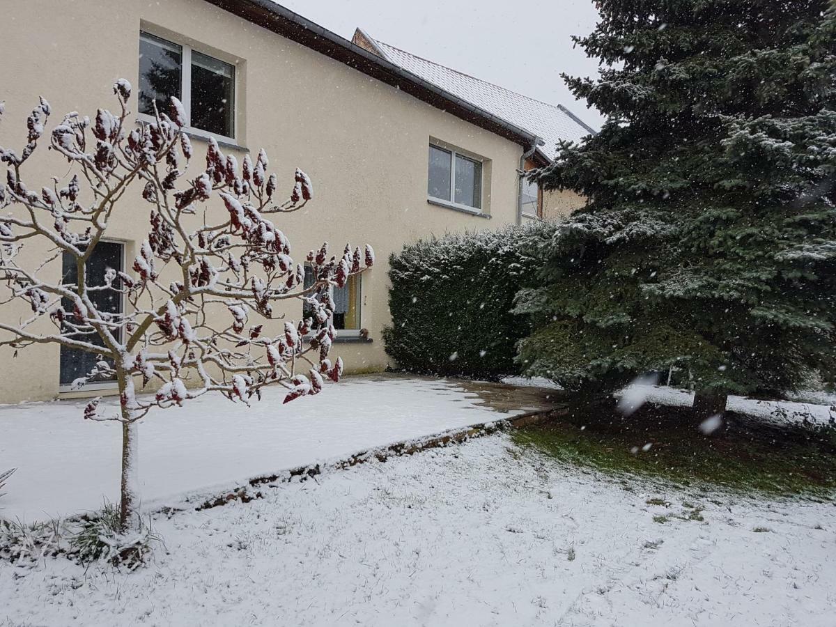 Fewo Am Moorteich Thale Zewnętrze zdjęcie